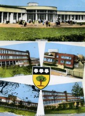 Ecoles