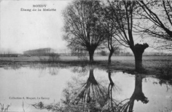 Etang de la Molette