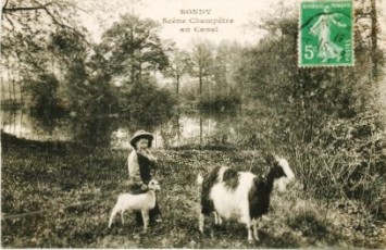 Scène champêtre
