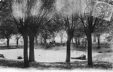Etang de la ferme de Nonneville