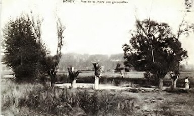 Mare aux grenouilles